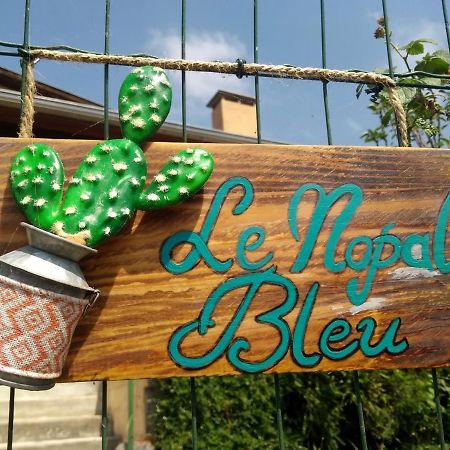 Le Nopal Bleu Daire Tarascon-sur-Ariège Dış mekan fotoğraf