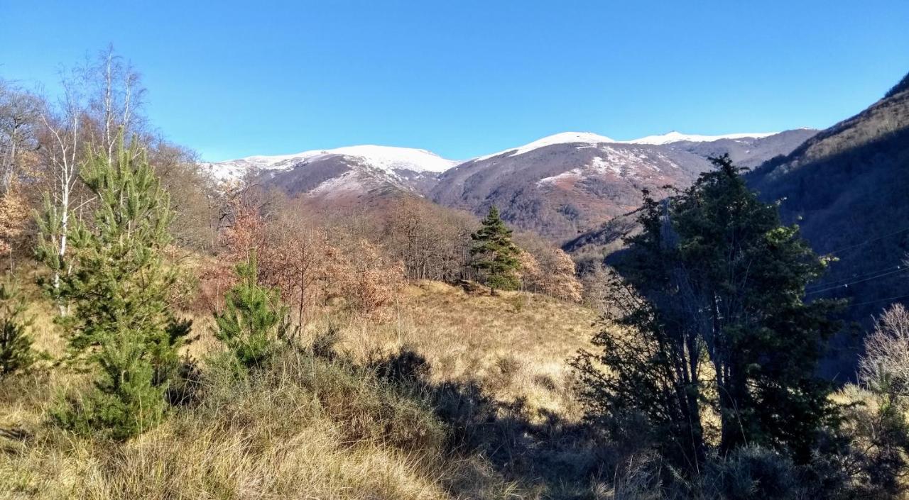 Le Nopal Bleu Daire Tarascon-sur-Ariège Dış mekan fotoğraf