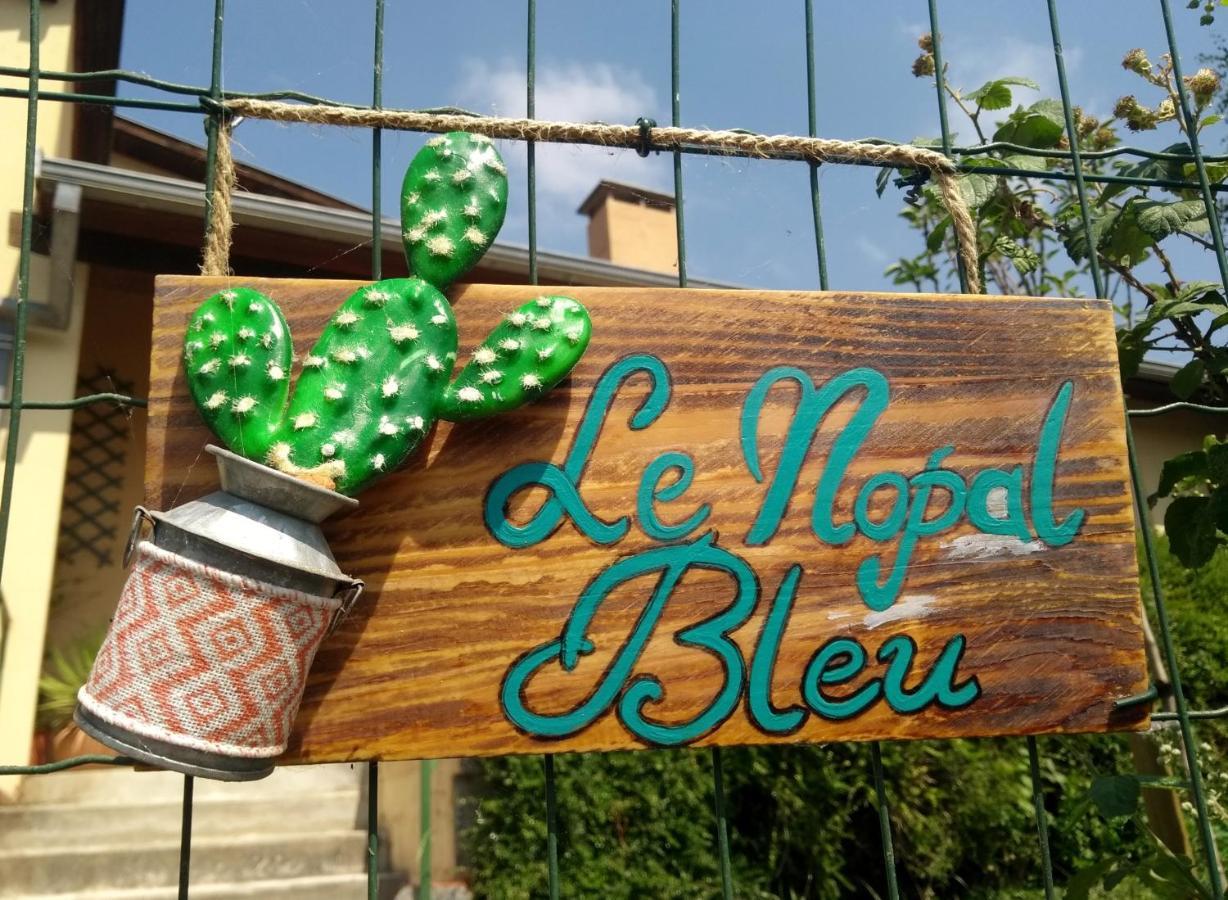 Le Nopal Bleu Daire Tarascon-sur-Ariège Dış mekan fotoğraf