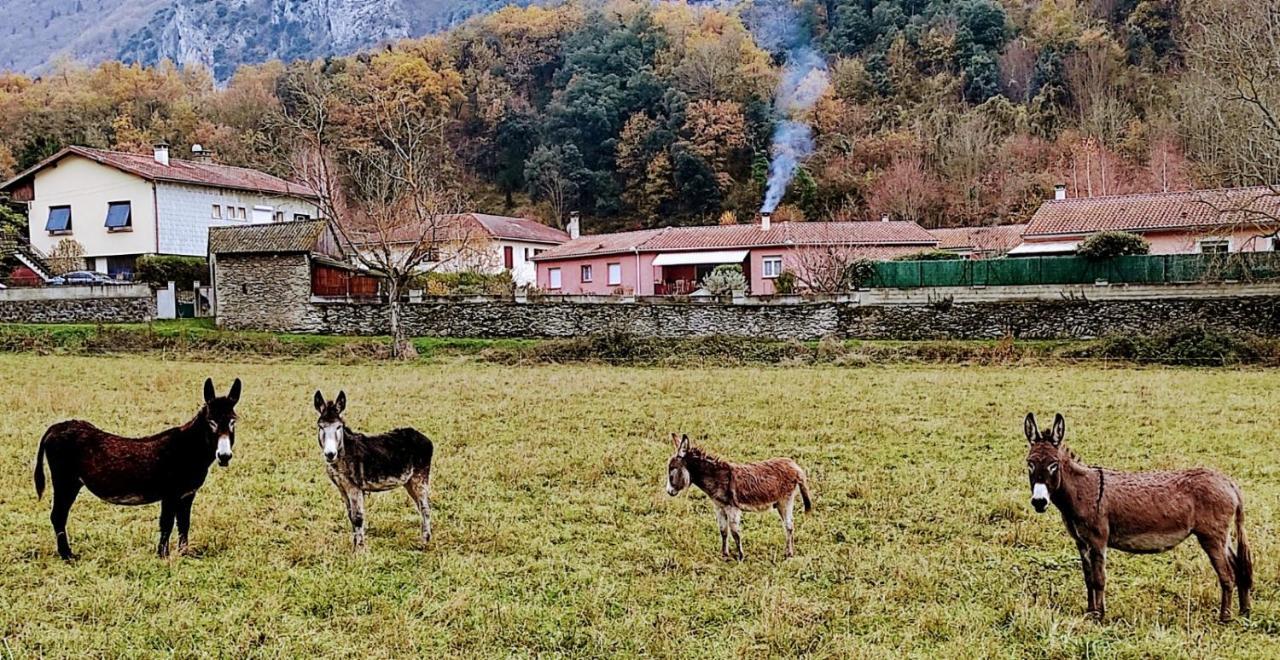 Le Nopal Bleu Daire Tarascon-sur-Ariège Dış mekan fotoğraf